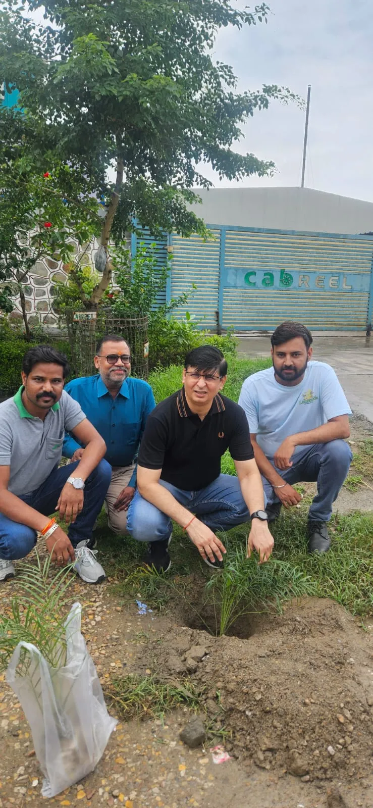 Tree plantation 2